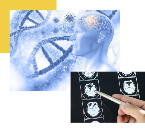 Neurology Billing
